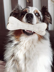 syta-micha-friandises-naturelles-pour-chien-maxi-os-a-macher-articulation-boeuf