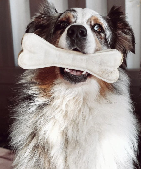 syta-micha-friandises-naturelles-pour-chien-maxi-os-a-macher-articulation-boeuf