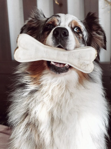 syta-micha-friandises-naturelles-pour-chien-maxi-os-a-macher-articulation-boeuf