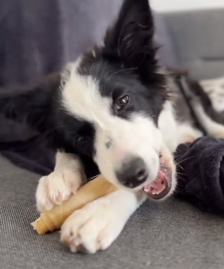 syta-micha-friandises-naturelles-pour-chien-os-mastication-HOT-DOG-BOEUF-APIN-CAROTTE