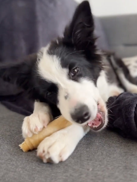 syta-micha-friandises-naturelles-pour-chien-os-mastication-HOT-DOG-BOEUF-APIN-CAROTTE