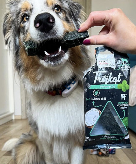 syta-micha-friandises-naturelles-pour-chien-os-mastication-dentaire-AGNEAU-MENTHE-CHARBON