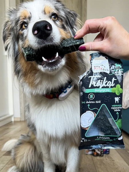 syta-micha-friandises-naturelles-pour-chien-os-mastication-dentaire-AGNEAU-MENTHE-CHARBON