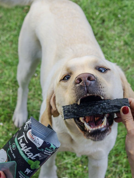 syta-micha-friandises-naturelles-pour-chien-os-mastication-dentaire-AGNEAU-MENTHE-CHARBON