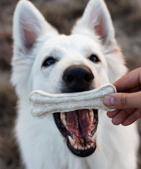 syta-micha-friandises-naturelles-pour-chien-os-mastication-vegan-coco-patate-douce