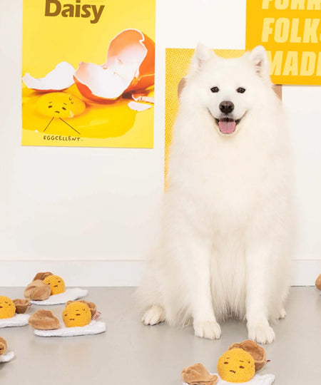 the-furry-folks-jouet-de-fouille-puzzle-interactif-pour-chien-Egg-cellent-oeuf-au-plat