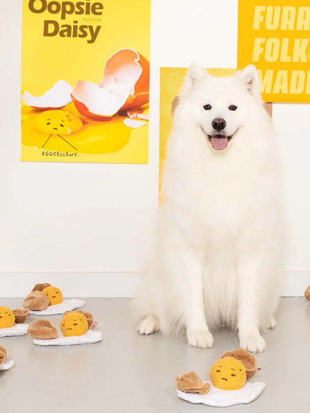the-furry-folks-jouet-de-fouille-puzzle-interactif-pour-chien-Egg-cellent-oeuf-au-plat