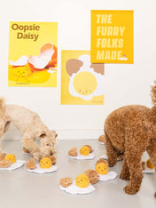 the-furry-folks-jouet-de-fouille-puzzle-interactif-pour-chien-Egg-cellent-oeuf-au-plat