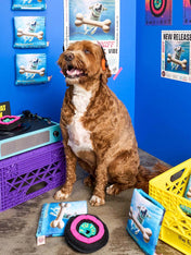 the-furry-folks-jouet-de-fouille-puzzle-interactif-pour-chien-Vinyl