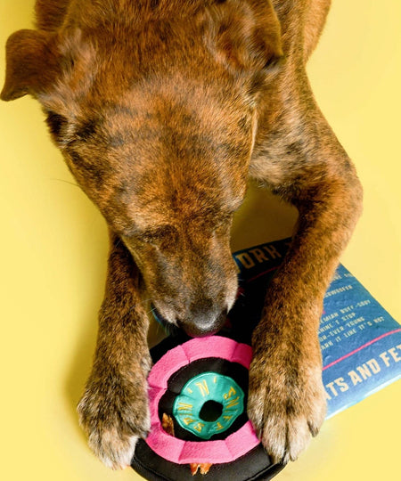 the-furry-folks-jouet-de-fouille-puzzle-interactif-pour-chien-Vinyl