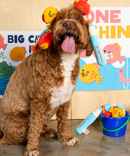 the-furry-folks-jouet-de-fouille-puzzle-interactif-pour-chien-canne-a-peche-poisson