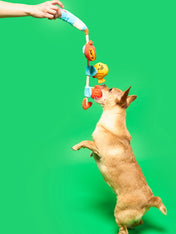 the-furry-folks-jouet-de-fouille-puzzle-interactif-pour-chien-canne-a-peche-poisson