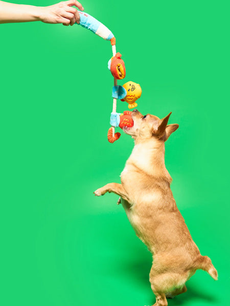 the-furry-folks-jouet-de-fouille-puzzle-interactif-pour-chien-canne-a-peche-poisson