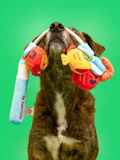 the-furry-folks-jouet-de-fouille-puzzle-interactif-pour-chien-canne-a-peche-poisson