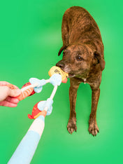 the-furry-folks-jouet-de-fouille-puzzle-interactif-pour-chien-canne-a-peche-poisson