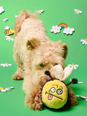 the-furry-folks-jouet-de-fouille-puzzle-interactif-pour-chien-happy-bee-abeille
