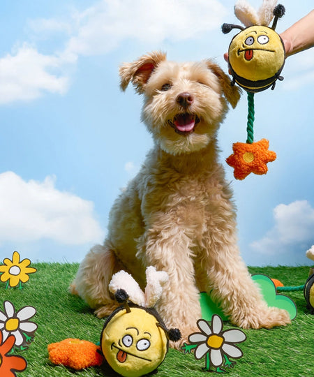 the-furry-folks-jouet-de-fouille-puzzle-interactif-pour-chien-happy-bee-abeille