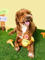 the-furry-folks-jouet-de-fouille-puzzle-interactif-pour-chien-ours-Tofino