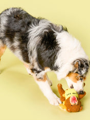 the-furry-folks-jouet-de-fouille-puzzle-interactif-pour-chien-ours-Tofino