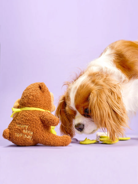 the-furry-folks-jouet-de-fouille-puzzle-interactif-pour-chien-ours-Tofino