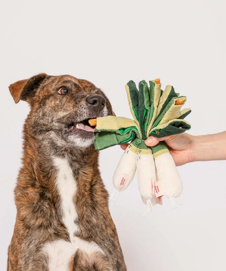 the-furry-folks-jouet-de-fouille-puzzle-interactif-pour-chien-poireau