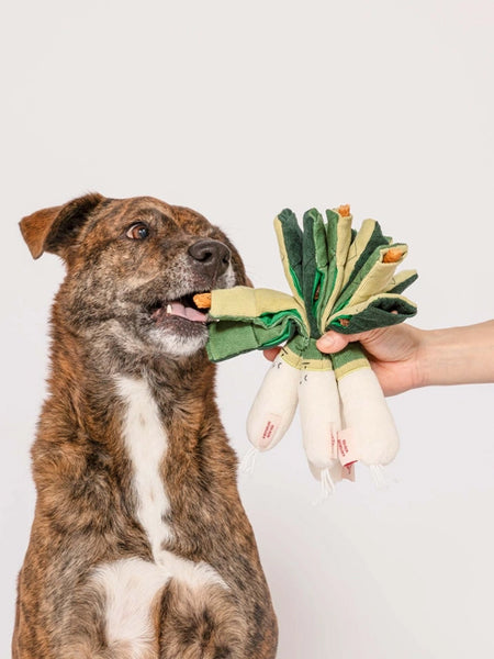 the-furry-folks-jouet-de-fouille-puzzle-interactif-pour-chien-poireau