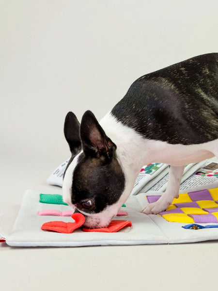 the-furry-folks-tapis-de-fouille-puzzle-interactif-pour-chien-journal
