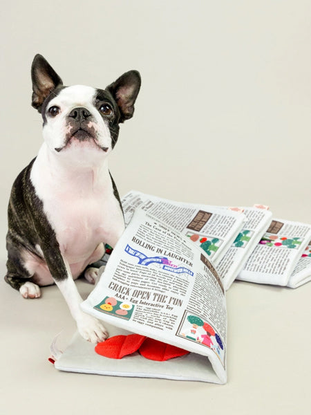 the-furry-folks-tapis-de-fouille-puzzle-interactif-pour-chien-journal