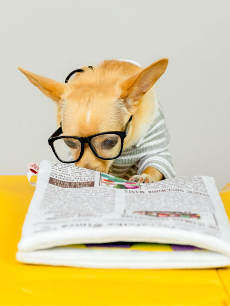 the-furry-folks-tapis-de-fouille-puzzle-interactif-pour-chien-journal