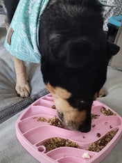 west-paw-Tapis-lechage-chien-ecologique-occupation-feast-mat