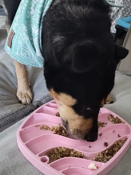 west-paw-Tapis-lechage-chien-ecologique-occupation-feast-mat