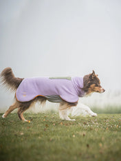 woollywolf-pull-polaire-pour-chien-Alpha-360-lavender-Mix