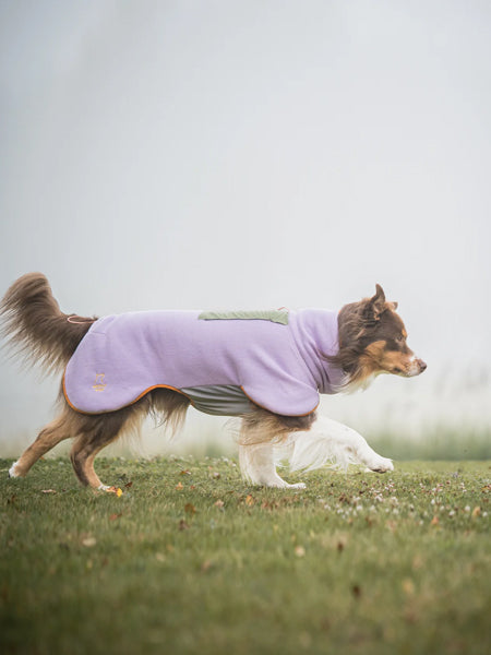 woollywolf-pull-polaire-pour-chien-Alpha-360-lavender-Mix