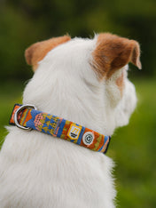 woolywolf-collier-design-pour-chien-Nightless-Night