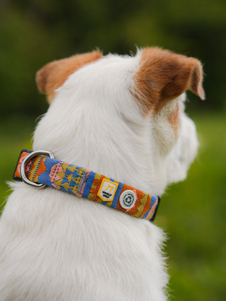 woolywolf-collier-design-pour-chien-Nightless-Night