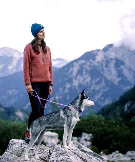 woolywolf-collier-design-pour-chien-Northern-Lights
