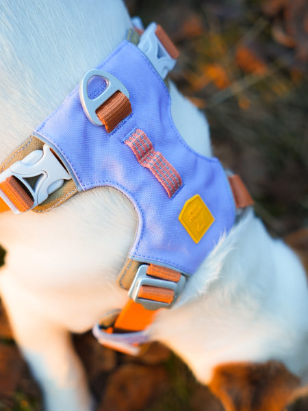 woolywolf-harnais-Alpha-360-Harness-Lavender