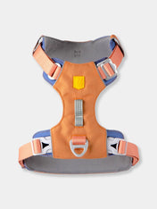 woolywolf-harnais-Alpha-360-Harness-golden-hour