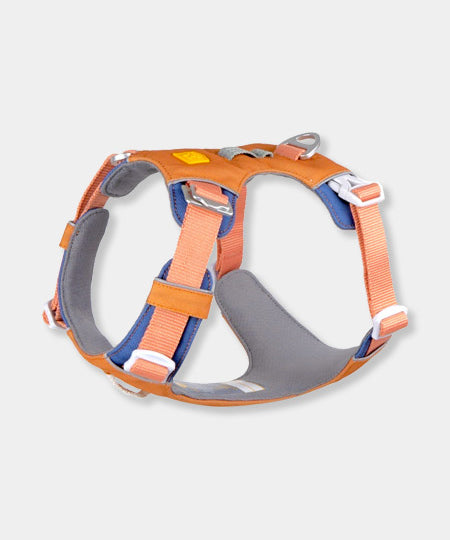 woolywolf-harnais-Alpha-360-Harness-golden-hour