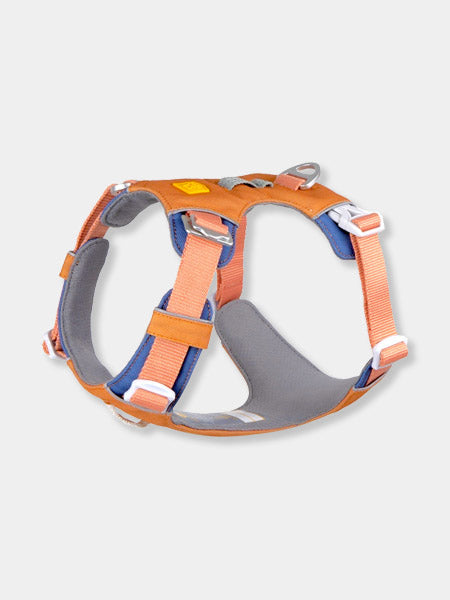 woolywolf-harnais-Alpha-360-Harness-golden-hour
