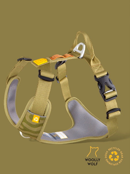 woolywolf-harnais-Roam-Harness-green-Ripple