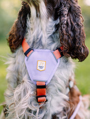 woolywolf-harnais-design-pour-chien-Color-Block