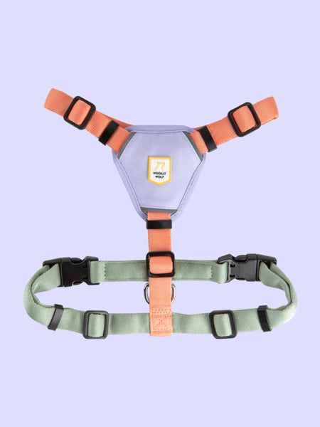 woolywolf-harnais-design-pour-chien-Color-Block
