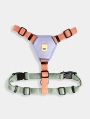 woolywolf-harnais-design-pour-chien-Color-Block