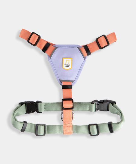 woolywolf-harnais-design-pour-chien-Color-Block