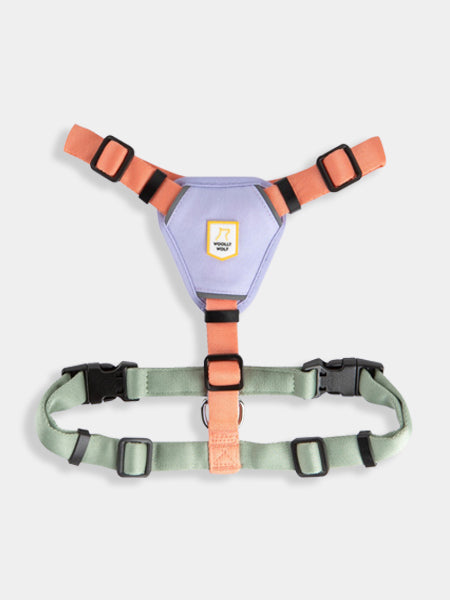 woolywolf-harnais-design-pour-chien-Color-Block