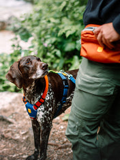 woolywolf-harnais-design-pour-chien-Color-Block-terracotta