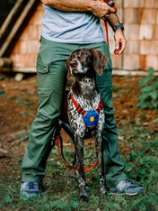 woolywolf-harnais-design-pour-chien-Color-Block-terracotta