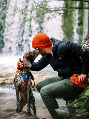 woolywolf-harnais-design-pour-chien-Color-Block-terracotta