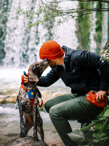 woolywolf-harnais-design-pour-chien-Color-Block-terracotta